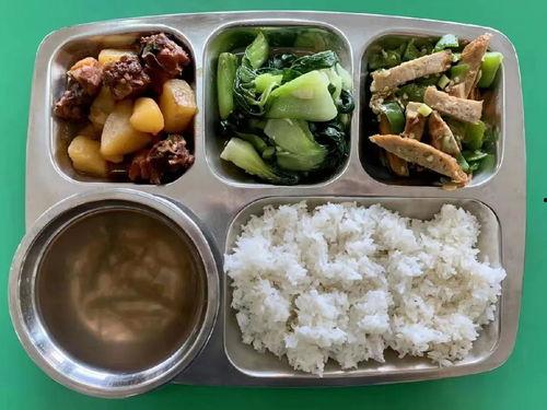 娱乐吃瓜酱学不进去了