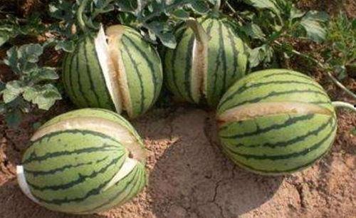 小小红娱乐吃瓜说,揭秘娱乐圈最新热点事件